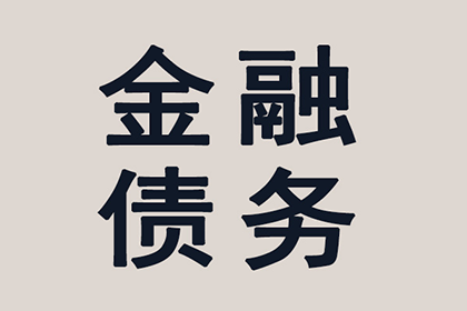 股东个人债务是否波及公司利益？